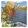 Herbst Live Wallpaper icon