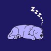 Calmly - Dog Sleep music icon