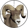 Sniper Hunting-3D Shooter icon