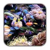 أيقونة Tropical Aquarium Live Wallpaper