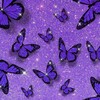 Pictogramă Purple Wallpaper