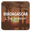 Madagascar L icon