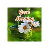 Good Morning Stickers - WAStickerApps icon