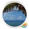 Beach Palm Tree Live Wallpaper icon