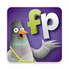 Funky Pigeon icon