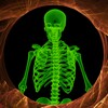 Wall Scanner Xray Prank icon