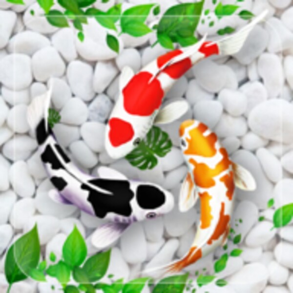 Fish Live Wallpapers for Android - Download the APK from Uptodown
