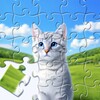 Jigsaw Puzzles आइकन