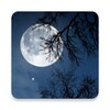 Relax Night icon