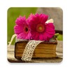 Icon von Flower Wallpaper