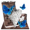 Icono de Butterfly Wooden Theme Launcher