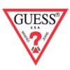 Guess icon