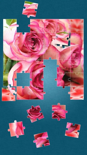 Roses Jigsaw Puzzle - Preview 14