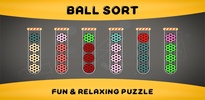 Ball Sort Master Puzzle 3D screenshot 6