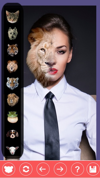 Animal Face - Preview 5