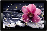 Orchid HD live wallpaper screenshot 4