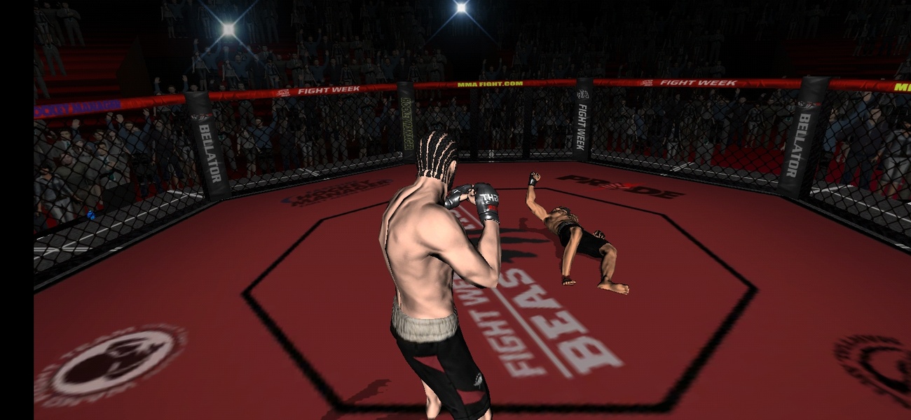 Fight Mania 3D - Preview 1