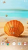 Sea Shell Live Wallpaper HD screenshot 8