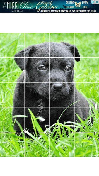 Puzzle Animals - Preview 5