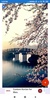 Spring Wallpaper: HD images, Free Pics download screenshot 7