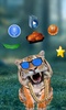 Funny Talking Tiger screenshot 4