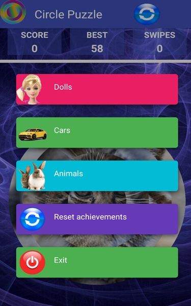 Circle Puzzle - Preview 7