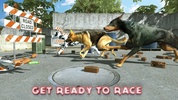 Dog Racing : Dog Games screenshot 5