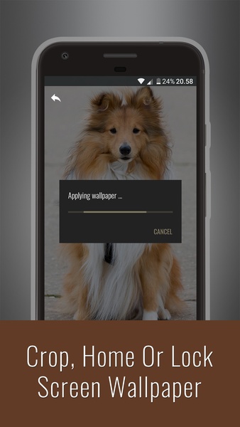 Cute Dogs Wallpapers - Preview 7