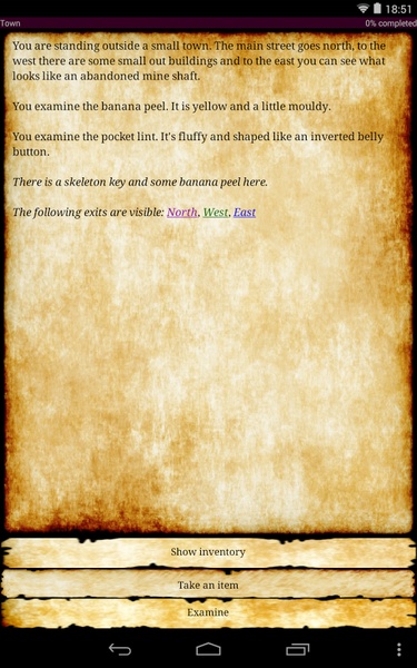 Tiny Text Adventure 1 - Preview 3
