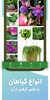 گل بین screenshot 3