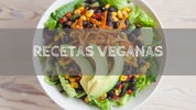 Recetas Veganas screenshot 2