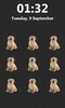 Pattern Screen Lock Pets screenshot 6