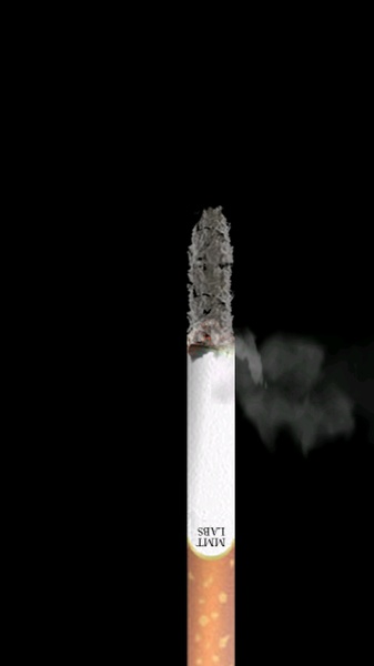 Cigarettoid - Preview 7