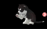 Real Puppy Simulator - Dog screenshot 7