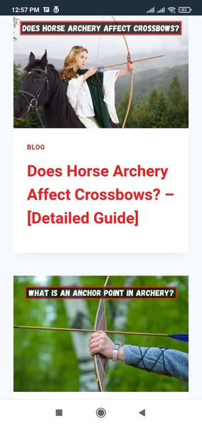 Archery Pick - Preview 5