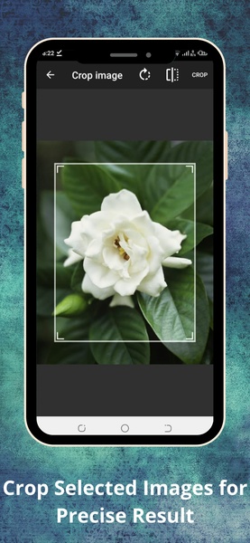 Batch BG Remover - Preview 4