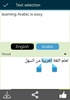 Arabic English Translator screenshot 6