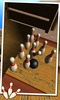 Bowling Western screenshot 4