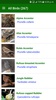 Bhutan eBirds screenshot 13