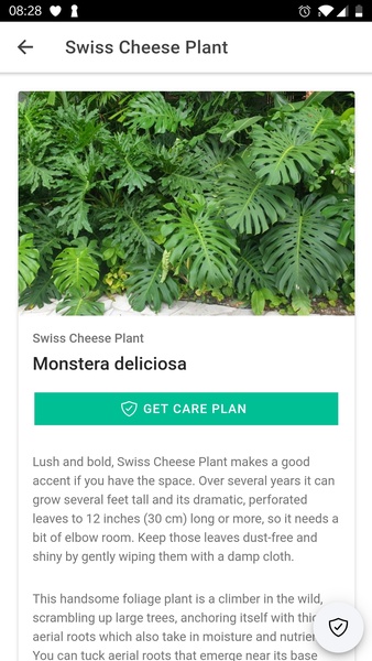 PlantIn: Plant Identification - Preview 5