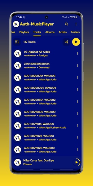 Auth Music Player - Preview 3