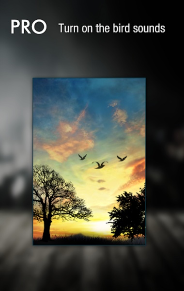 Sunset Hill Live Wallpaper - Free - Preview 5