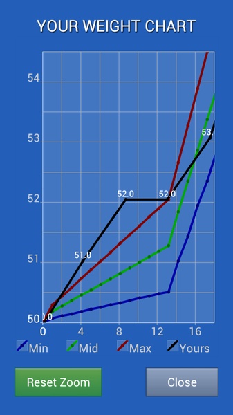 Pregnancy Weight Calculator - Preview 4