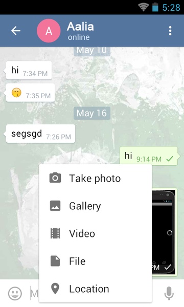 Pakistan Chat - Preview 2