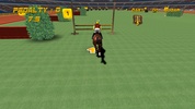 Show Jumping screenshot 7