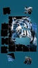 Tigers Jigsaw Puzzle screenshot 7