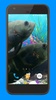 Oscar Fish Aquarium Video 3D screenshot 5