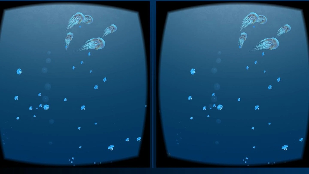 SeaWorld VR2 - Preview 2