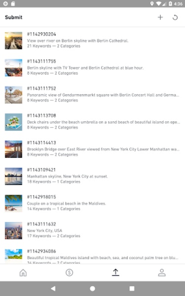 Shutterstock Contributor - Preview 4