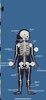 The Human Body by Tinybop screenshot 12